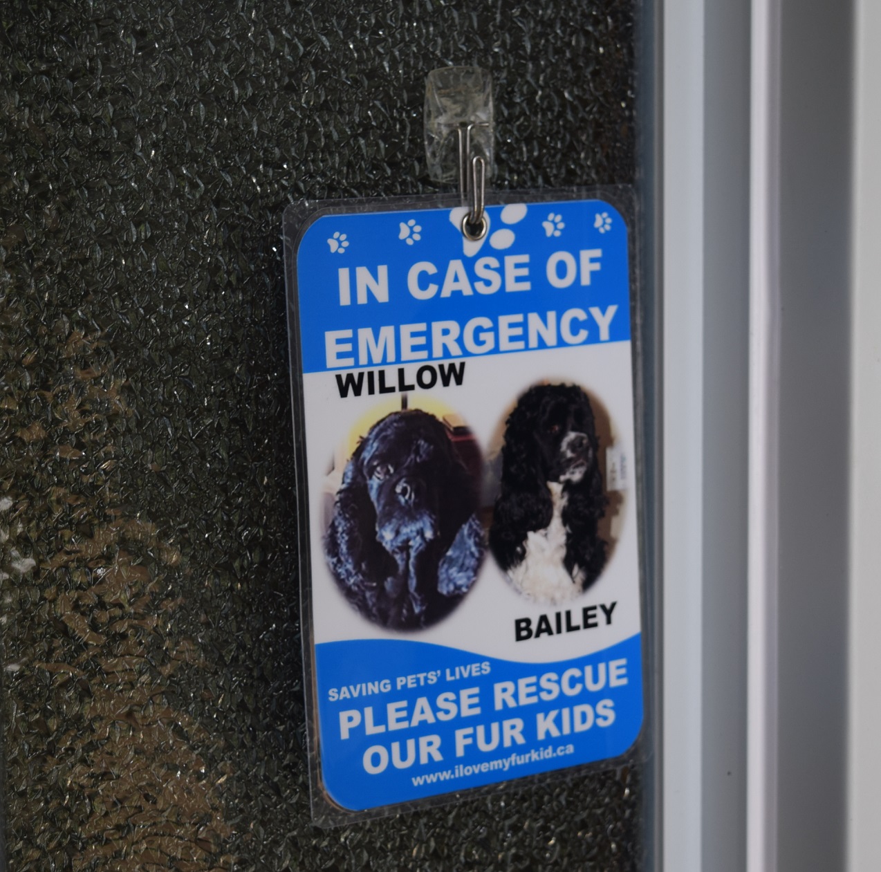 Gainesville, Georgia - USA